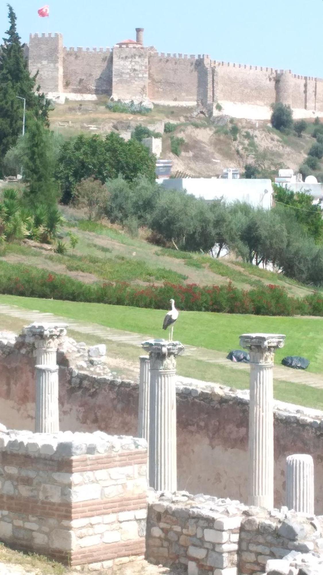 Ephesus Selcuk Castle View Suites Zewnętrze zdjęcie
