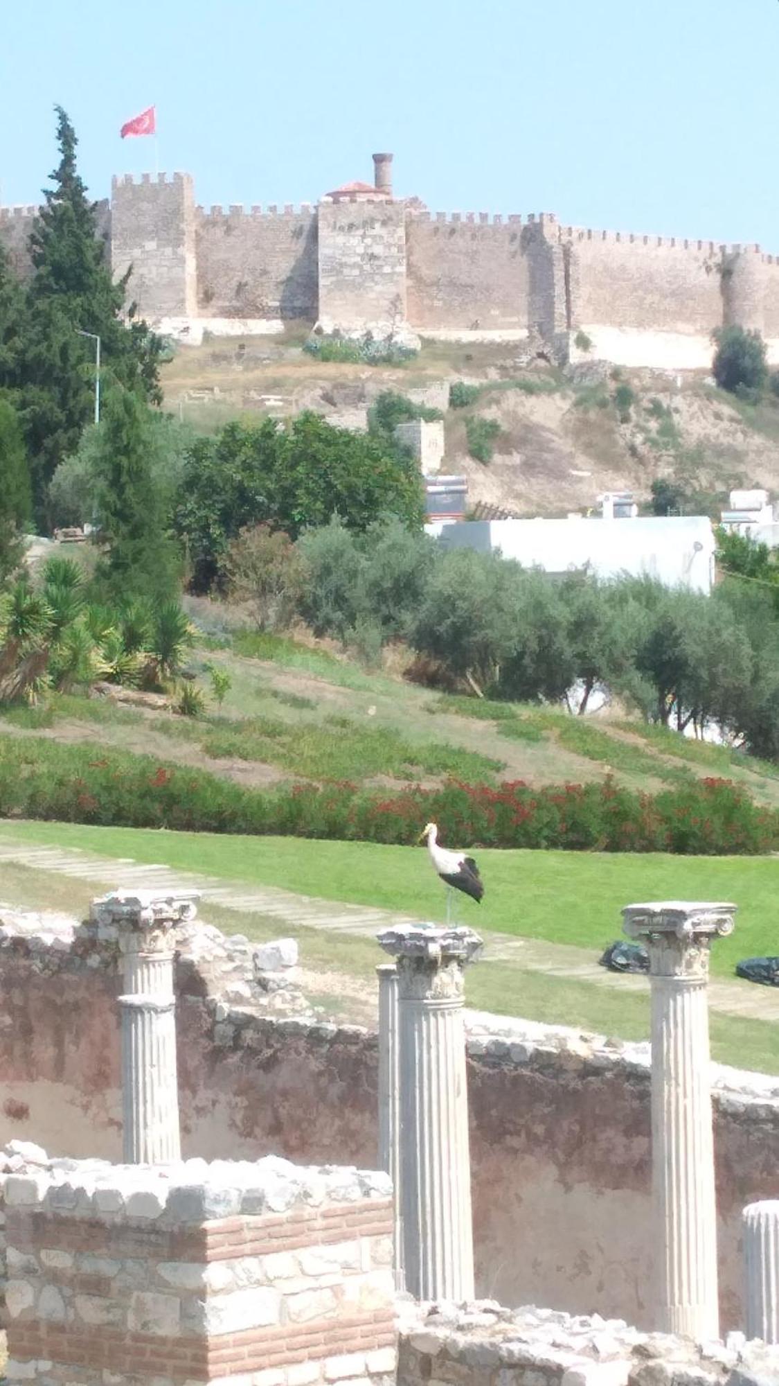Ephesus Selcuk Castle View Suites Zewnętrze zdjęcie
